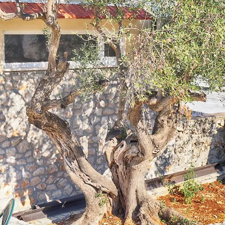 Luger Mit Wintergarten Und Terrasse Apartment *